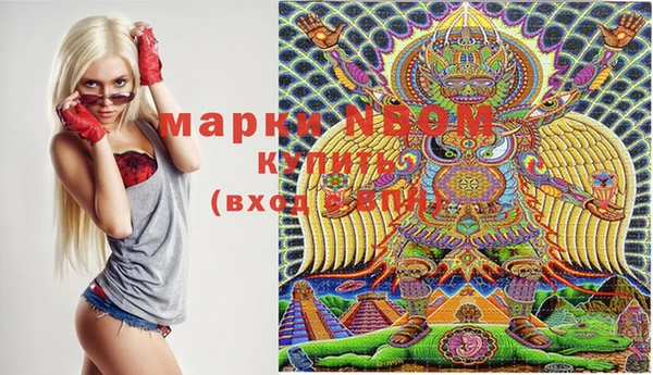 мдпв Вязники