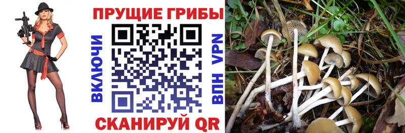 Галлюциногенные грибы мицелий  Купить закладки  Коркино 